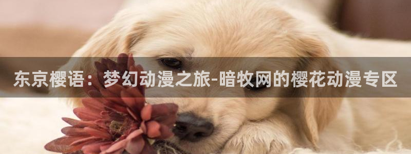 贝勒漫画网官网入口：东京樱语：梦幻动漫之旅-暗牧网的樱花动漫专区