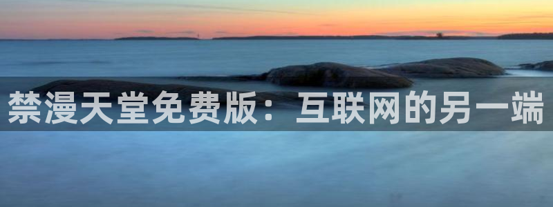 贝勒漫画：禁漫天堂免费版：互联网的另一端