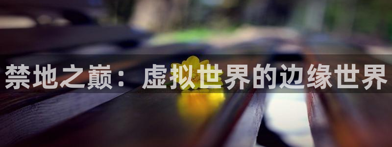 贝勒漫画官网入口老版本：禁地之巅：虚拟世界的边缘世界