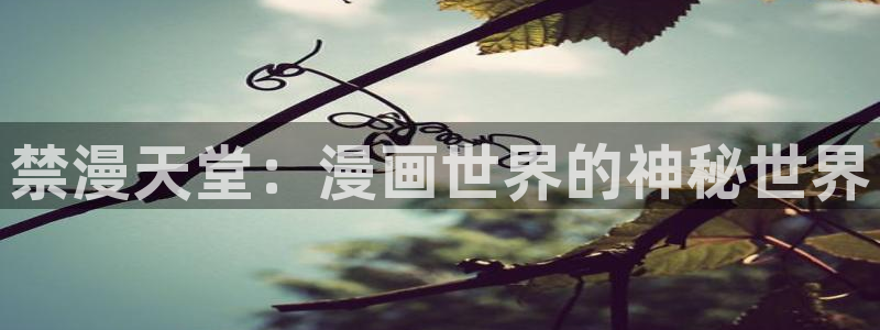拷贝漫画 copymanager.ory网站：禁漫天堂：漫画世界的神秘世界