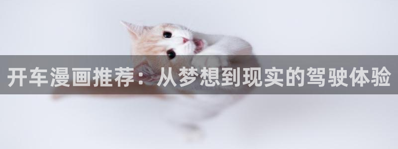 拷贝漫画 copymanager.ory网站：开车漫画推荐：从梦想到现实的驾驶体验