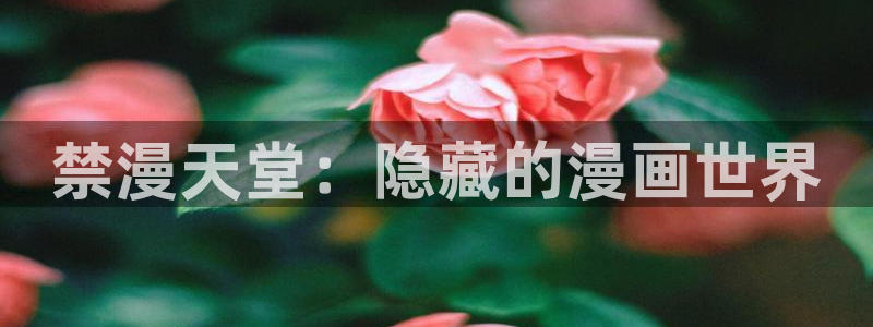 kakaopage韩漫官网：禁漫天堂：隐藏的漫画世界