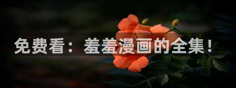 贝勒漫画官网入口老版本：免费看：羞羞漫画的全集！