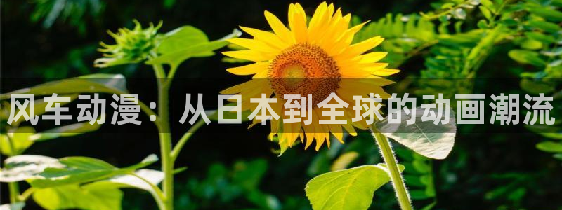 volcanicage漫画：风车动漫：从日本到全球的动画潮流