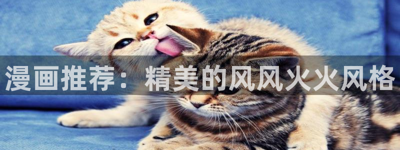 age专注动漫的门户网站：漫画推荐：精美的风风火火风格