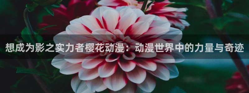 kakaopage韩漫官网：想成为影之实力者樱花动漫：动漫世界中的力量与奇迹