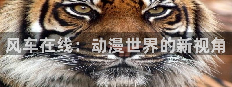 贝勒漫画网上看：风车在线：动漫世界的新视角