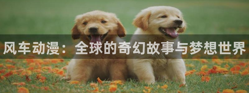 贝勒漫画下载网：风车动漫：全球的奇幻故事与梦想世界
