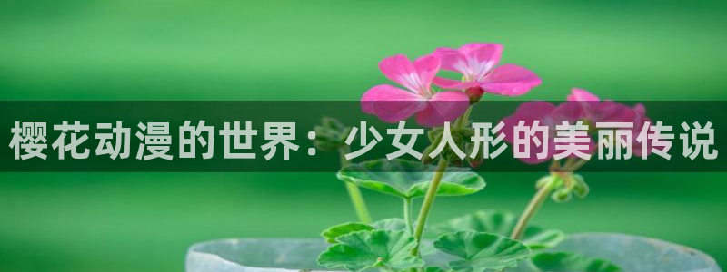 age樱花动漫：樱花动漫的世界：少女人形的美丽传说