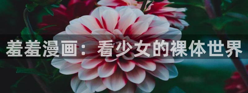 managereader漫画官网入口：羞羞漫画：看少女的裸体世界