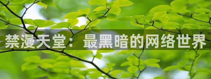 贝勒漫画官网入口老版本：禁漫天堂：最黑暗的网络世界