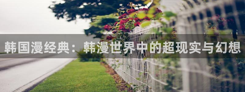 在线动画动漫下载贝勒漫画：韩国漫经典：韩漫世界中的超现实与幻想